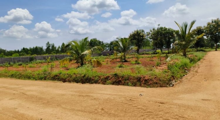 Large Acreage Land for Sale – Kinathukadavu