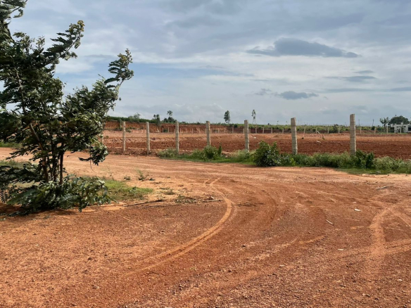 Farm Land for Sale in Puliyampatti